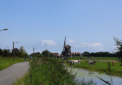 Guided visit to Poldermolen (windmill) and Volendam